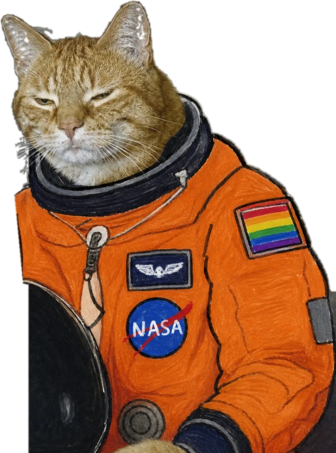 Cosmos Cat in a launch and entry suit